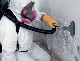 Mold Remediation for Rental Properties